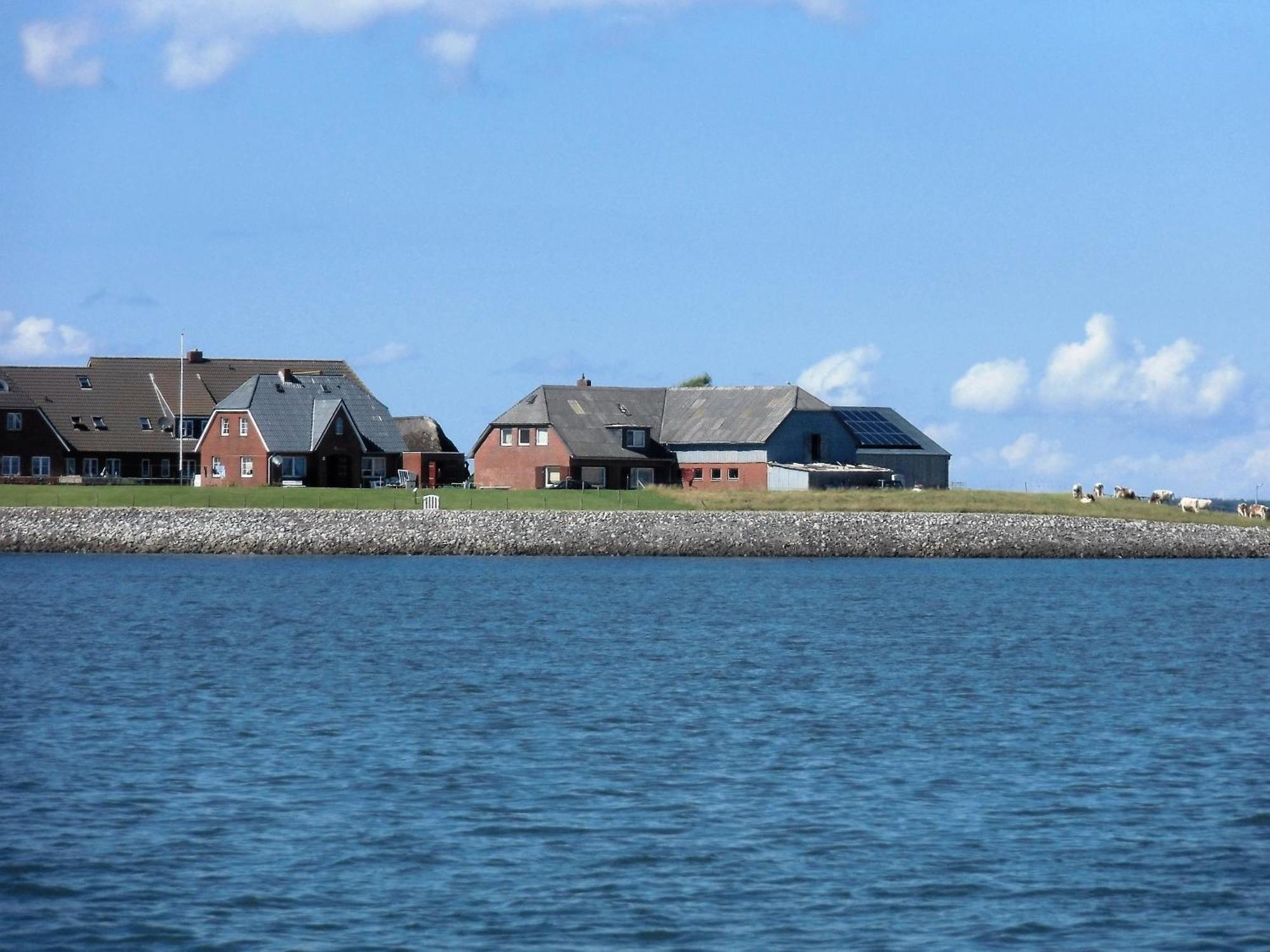 Haus Halligblick, Ferienwohnungen Am Wattenmeer, Whg Hamburger Hallig Дагебюлль Экстерьер фото